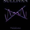 Precalculus 10th Edition by Michael Sullivan