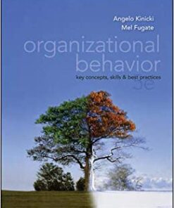 Organizational Behavior Key Concepts, Skills & Best Practices 5th Edition