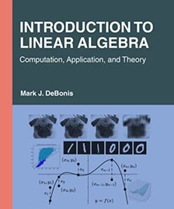Introduction To Linear Algebra Computation, Application, and Theory