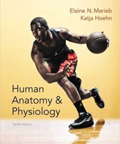 Human Anatomy & Physiology (10th Edition)