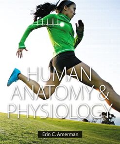 Human Anatomy & Physiology-Erin C. Amerman