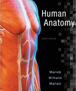 Human Anatomy 8th Edition by Elaine N. Marieb