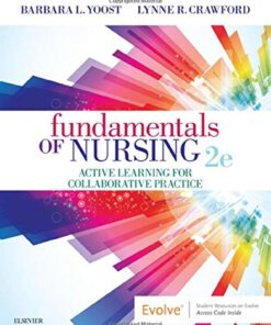 Fundamentals of Nursing Active Learning for Collaborative Practice 2nd Edition