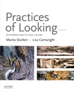 Practices of Looking An Introduction to Visual Culture 3rd Edition