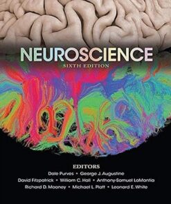 Neuroscience 6th Edition