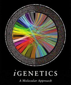 iGenetics-A Molecular Approach 3rd Edition by Peter J. Russell