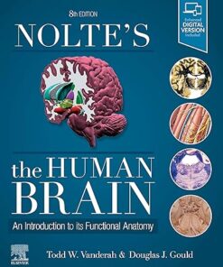 Nolte's The Human Brain An Introduction to its Functional Anatomy 8th Edition