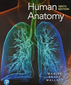 Human Anatomy 9th Edition Elaine N. Marieb